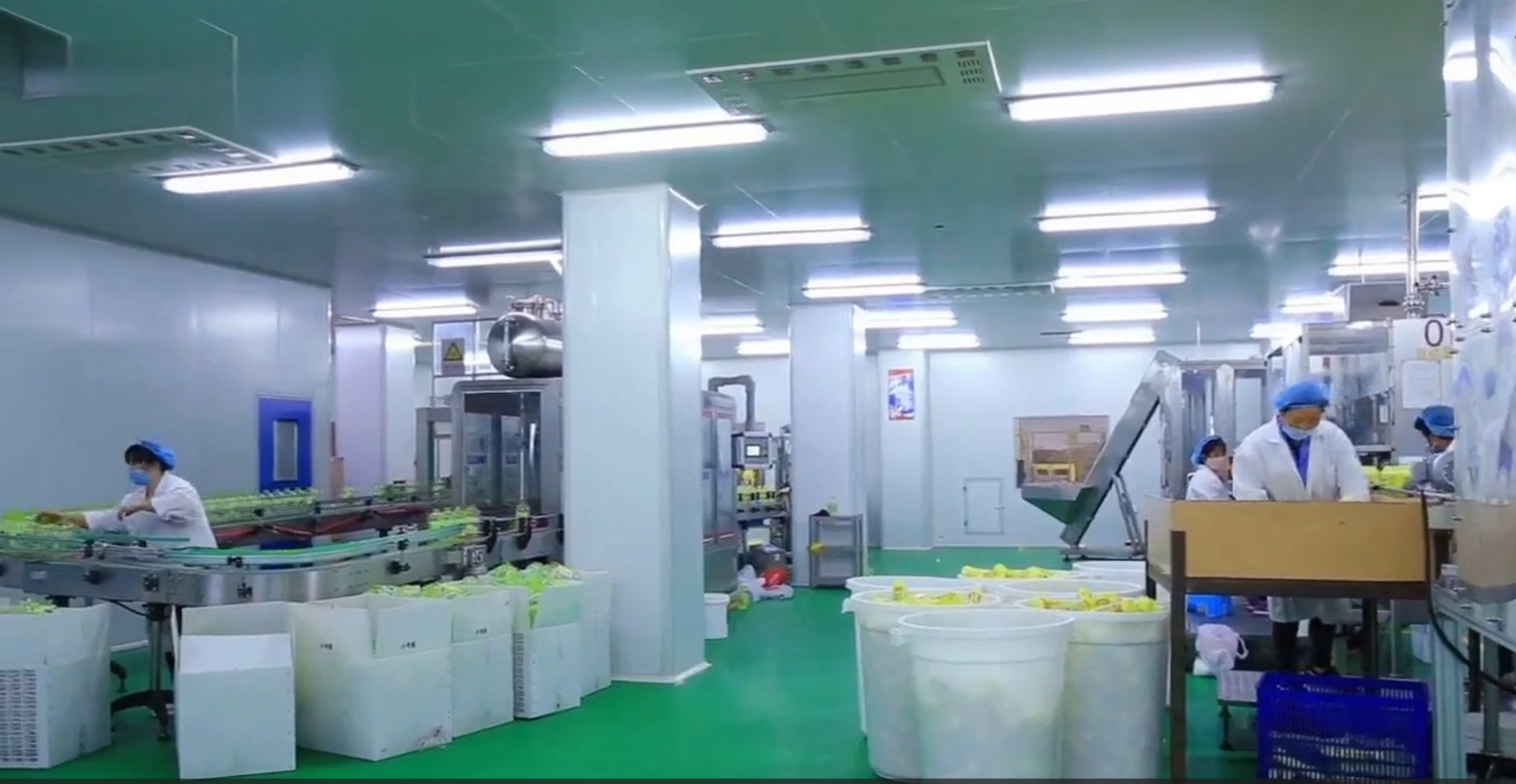 Liquid Wash Bottles Production